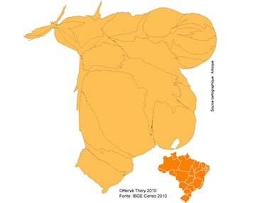 Carte sur la démographie du Brésil en 210