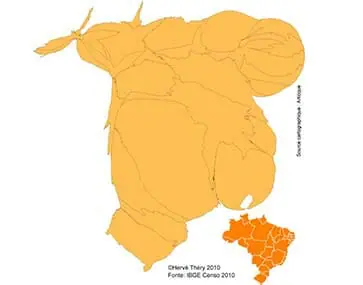 Carte sur la démographie du Brésil en 210