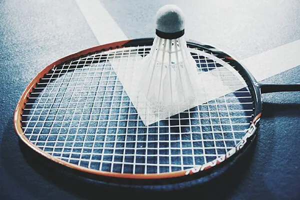 La federation francaise de badminton utilise cartes et donnees