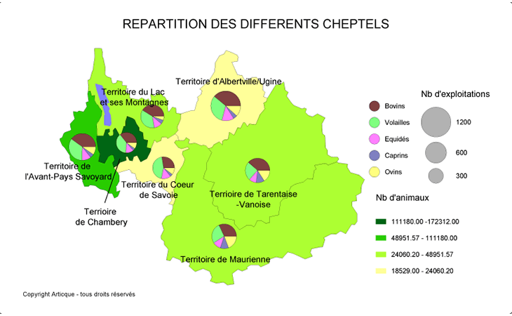 Exemple de cartographie statistique adaptée au secteur de l'élevage