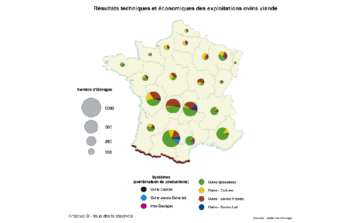 Cartographie statistique des exploitations ovins viande en France
