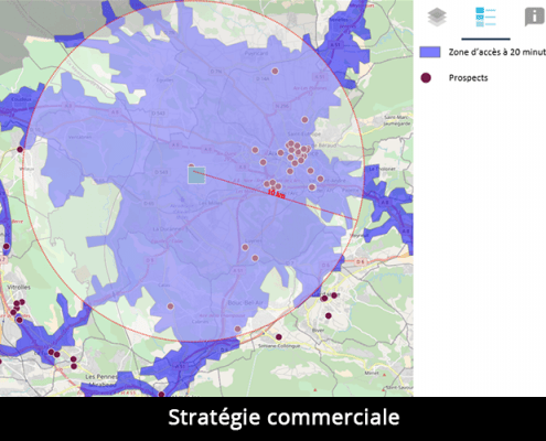 Stratégie commerciale et force de vente