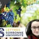 iona campistron universite sorbonnes