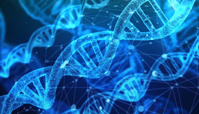 Sectorisation automatique avec un algorithme genetique