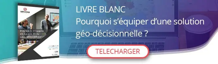 telecharger-livre-blanc-geo-decisionnel