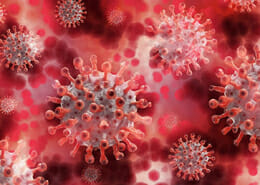 Miniature epidemie coronavirus