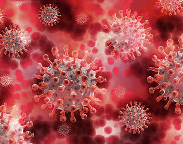 Miniature epidemie coronavirus