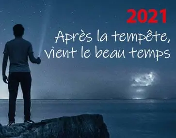 articque vous souhaite une bonne annee 2021