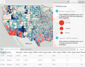 miniature epidemie de covid 19 aux etats unis