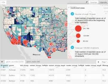 miniature epidemie de covid 19 aux etats unis