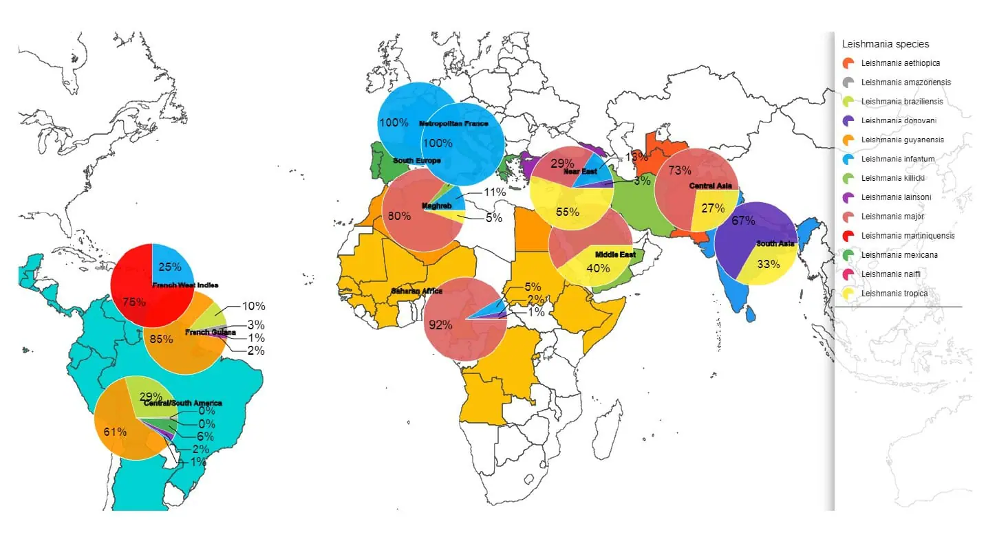 Répartition des espèces de leishmaniose d’après le lieu de contamination