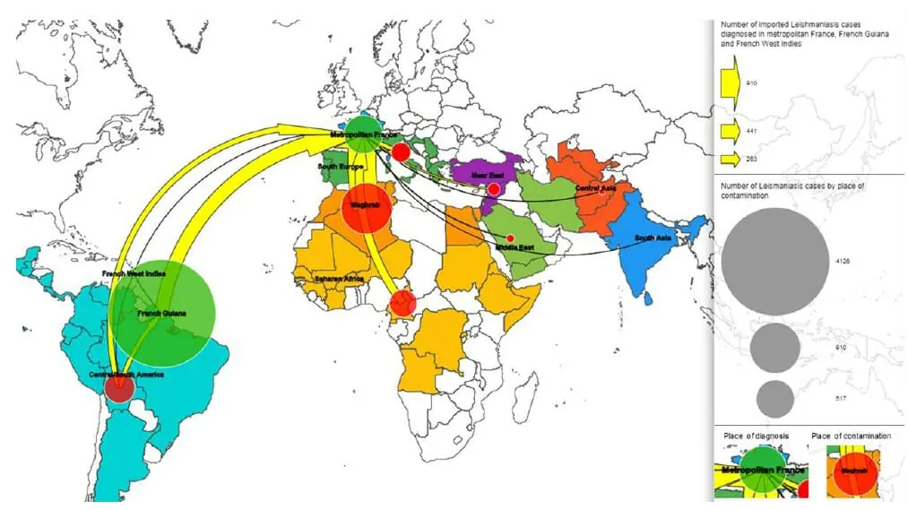 Origine géographique des cas de leishmaniose déclarés en France métropolitaine, Guyane et Antilles