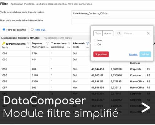 DataComposer filtre simplifié Articque by ChapsVision - logiciel géomarketing
