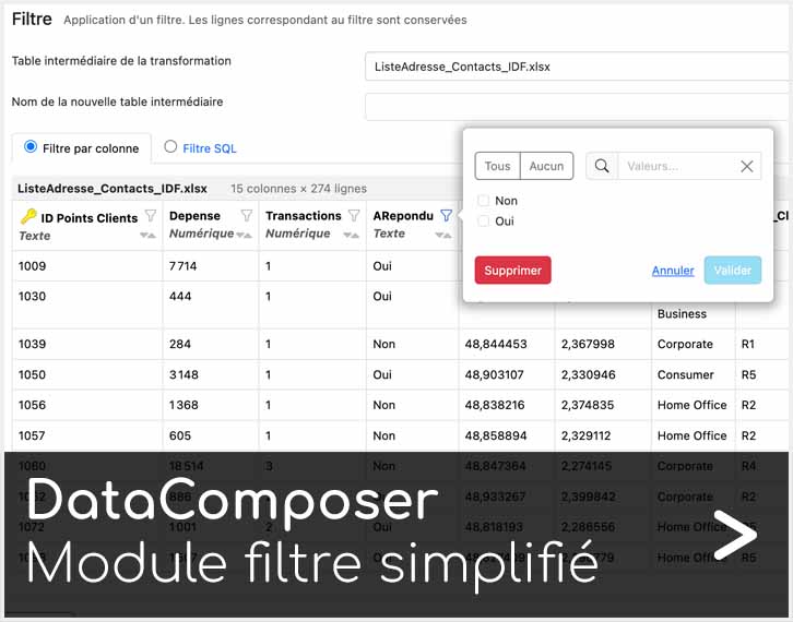 DataComposer filtre simplifié Articque by ChapsVision - logiciel géomarketing