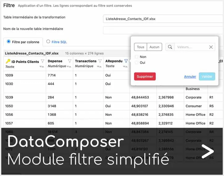 DataComposer filtre simplifié Articque by ChapsVision - logiciel géomarketing